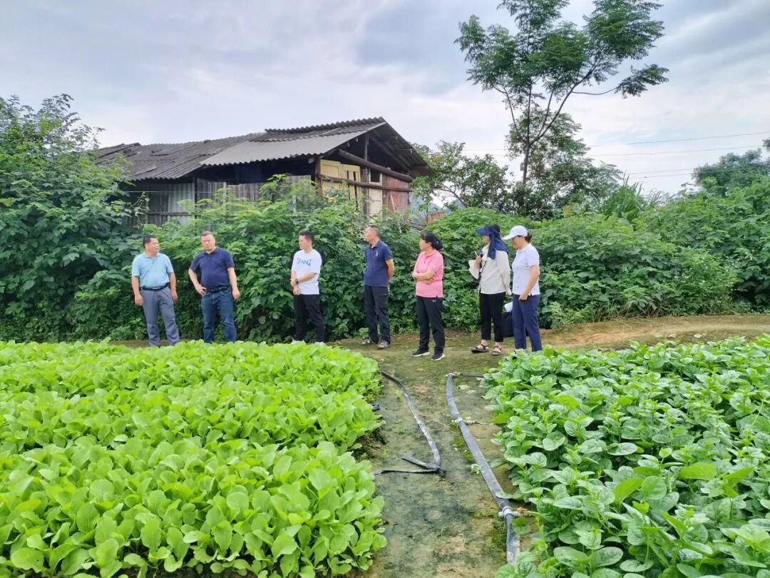 175703925868ba4a9aa8e8f.jpg 175703925868ba4a9aa8e8f.jpg